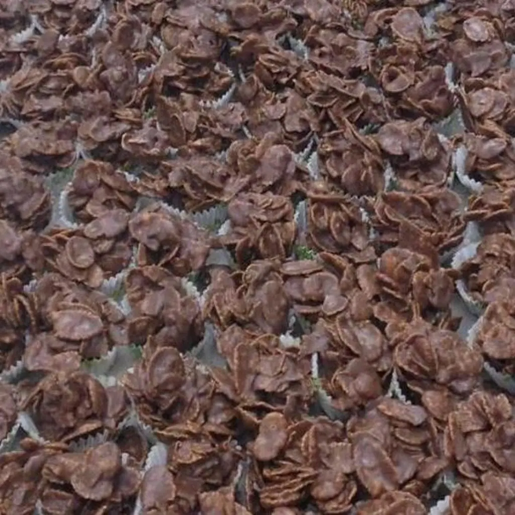 كورن فليكس شوكولاتة
